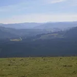 Nad Lasem *
