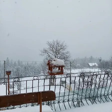 Проживание в семье Nad Lasem Конякув