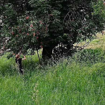 Nad Lasem Privat bolig Koniaków