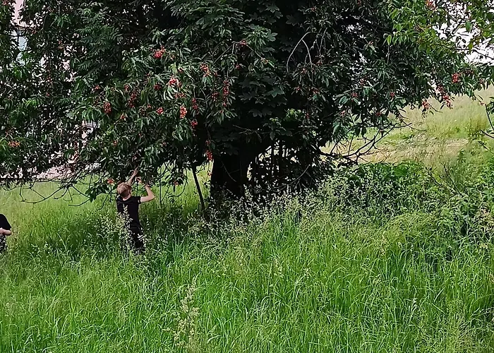 Nad Lasem Ubytování v soukromí Koniaków